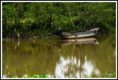 今でも大事な交通手段