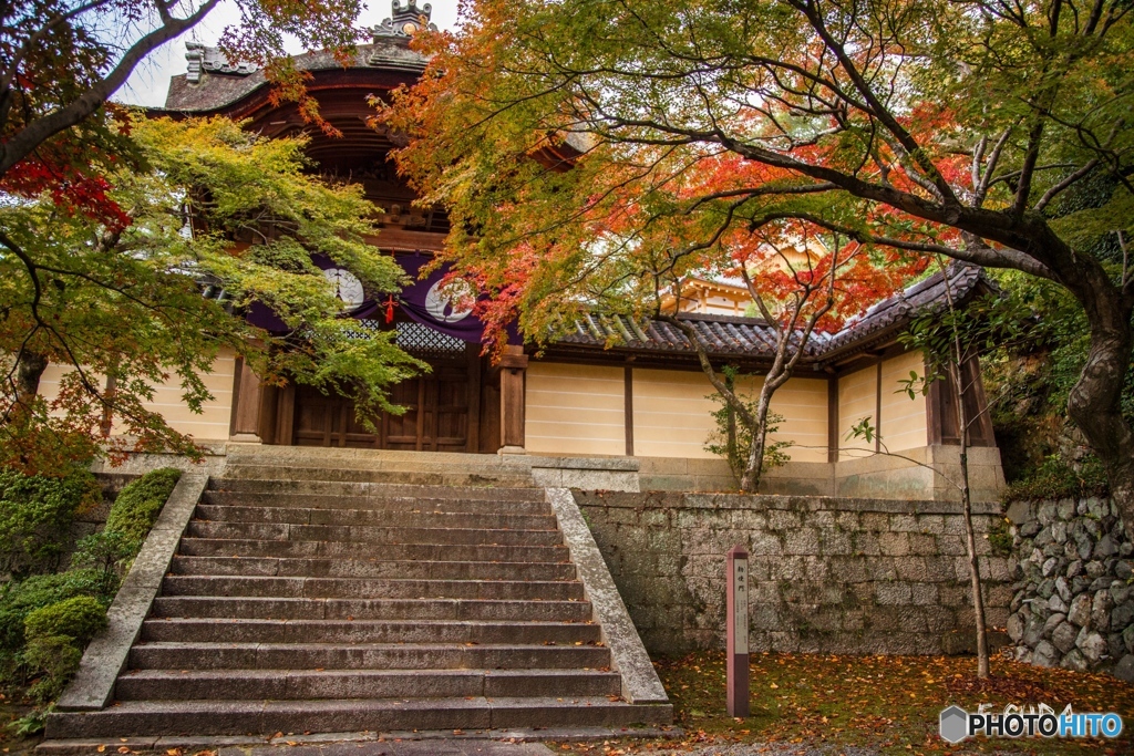 秋が来た
