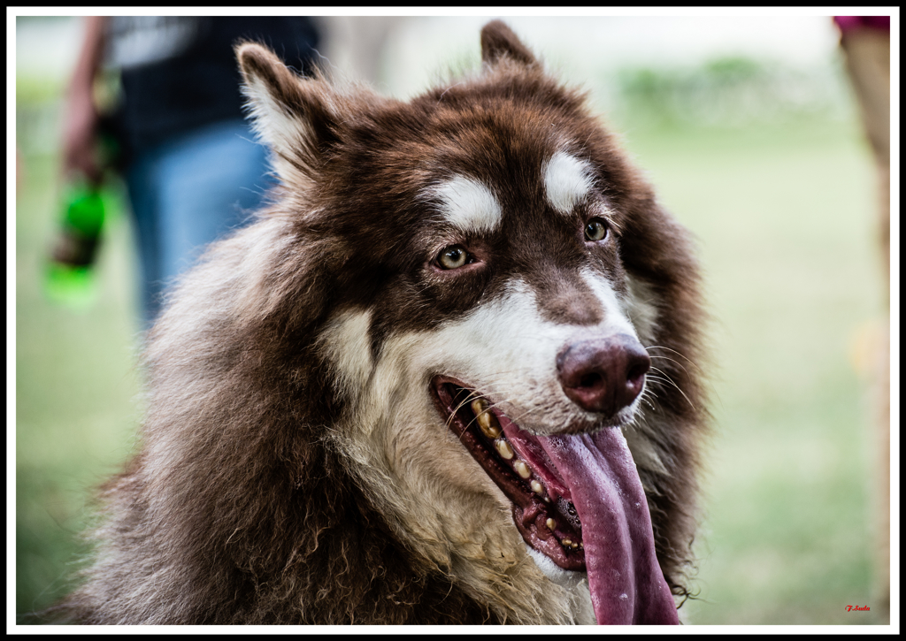 ちょっと怖いかな？