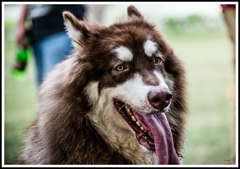 ちょっと怖いかな？