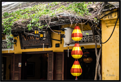 金色ちょうちん