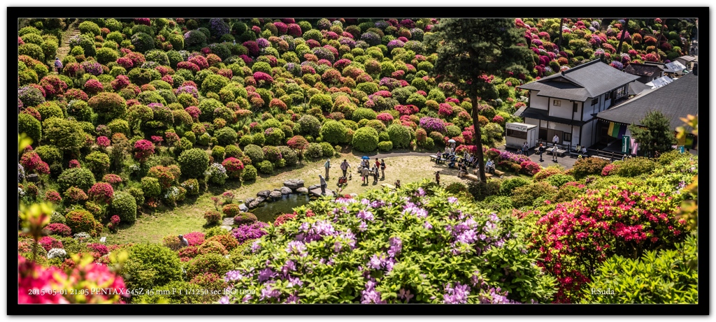 塩船観音寺