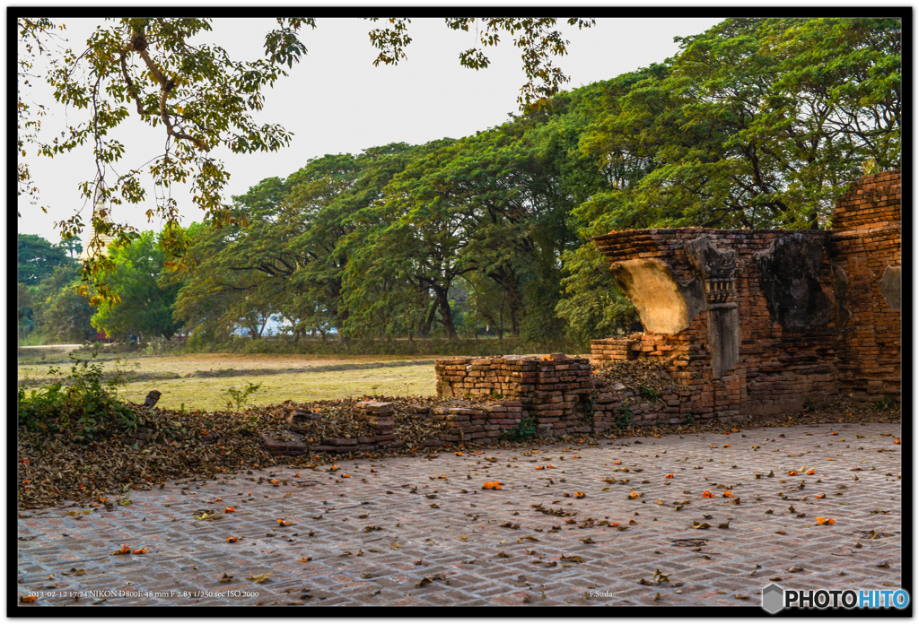 黄金時代の思い出２