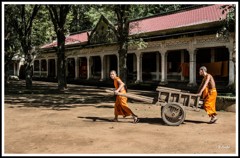 よく働くお坊さんたち