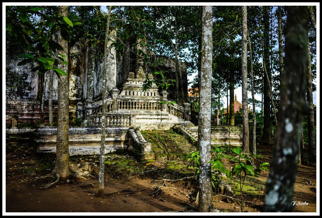 小さな廃墟のお寺