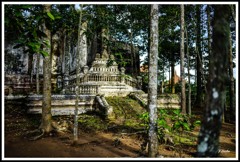 小さな廃墟のお寺