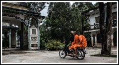 お買い物でしょうか。