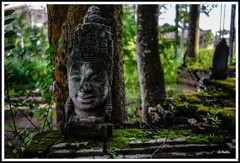 優しい微笑み。