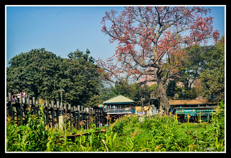ユービーインの橋