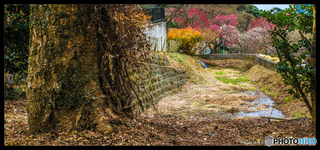春はあそこまで