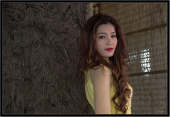 古いベトナムの家で