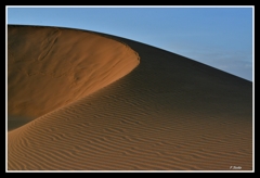 PHA_1788_605