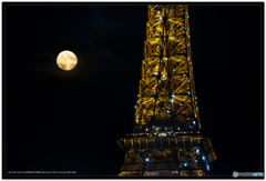 エッフェル塔の夜