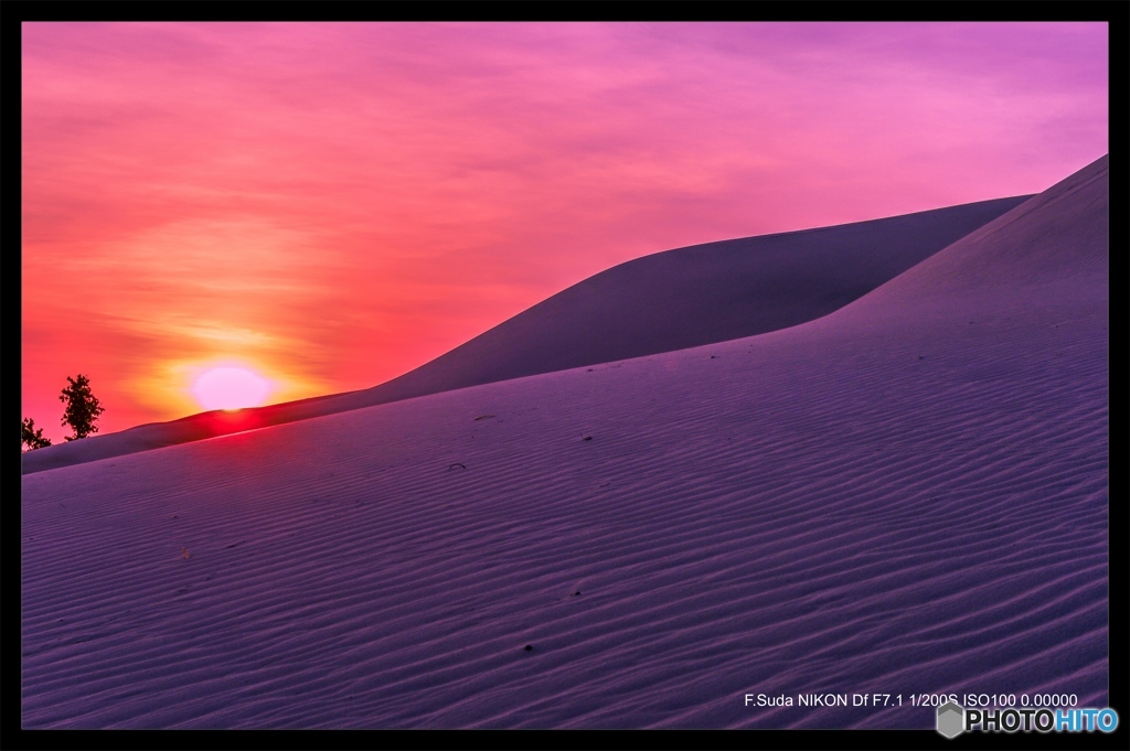 砂丘の朝２