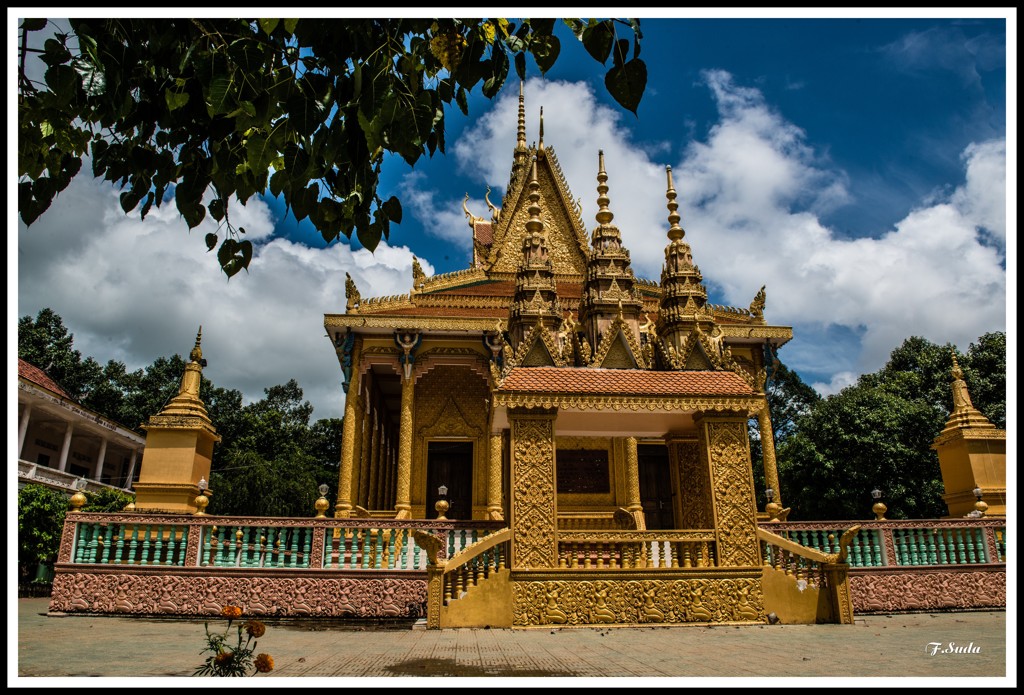 青空に金色が輝く。