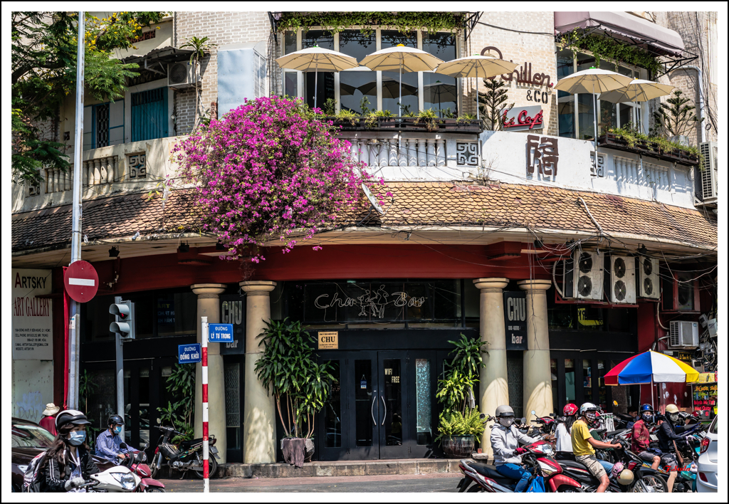 赤ブーゲンビリア