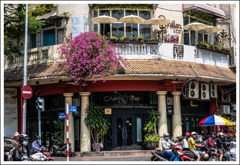 赤ブーゲンビリア