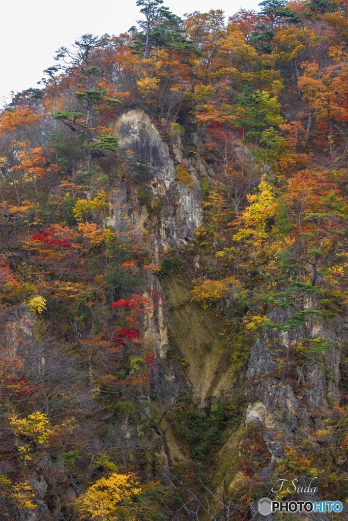 紅葉吐息