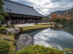 天龍寺の秋