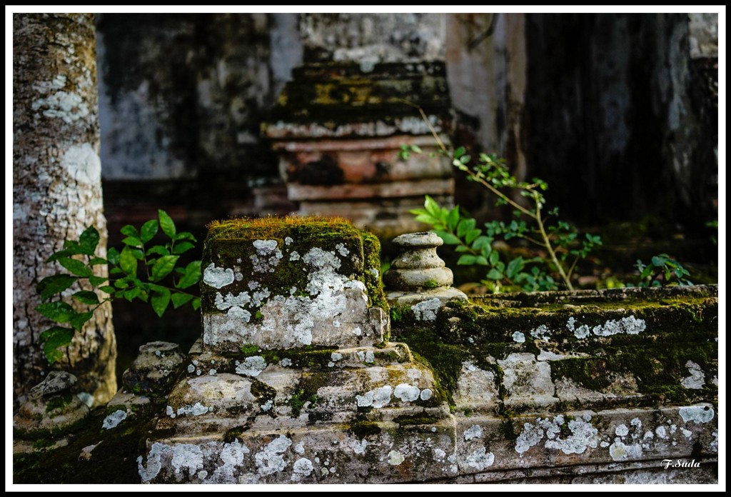 あれから何年が経ったでしょうか。