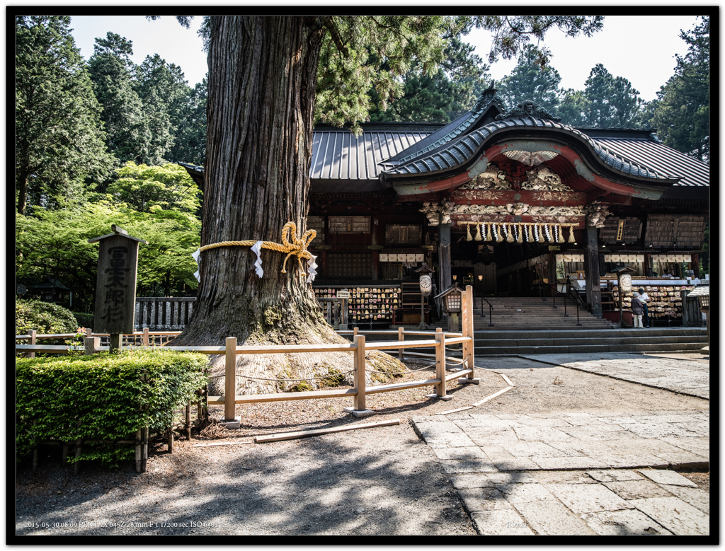 次郎杉