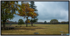 雨の広場