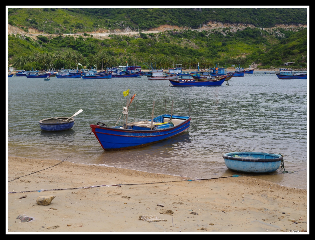 IMGP7041