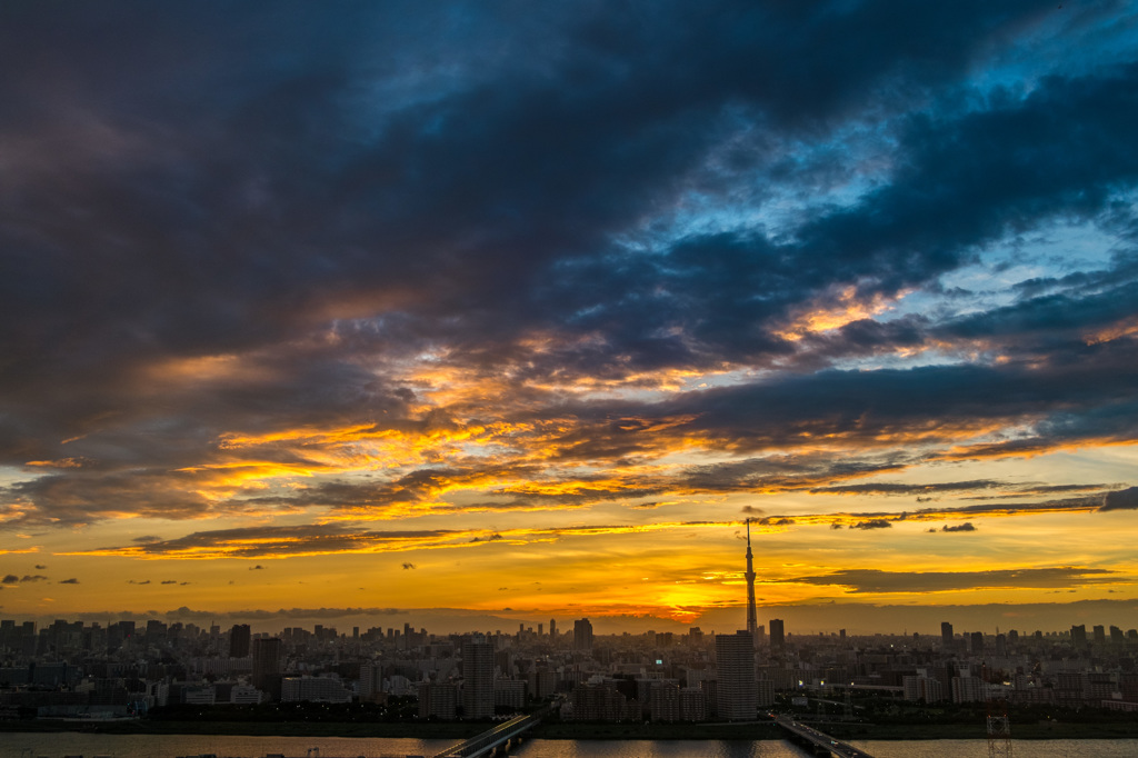 夕日下の城