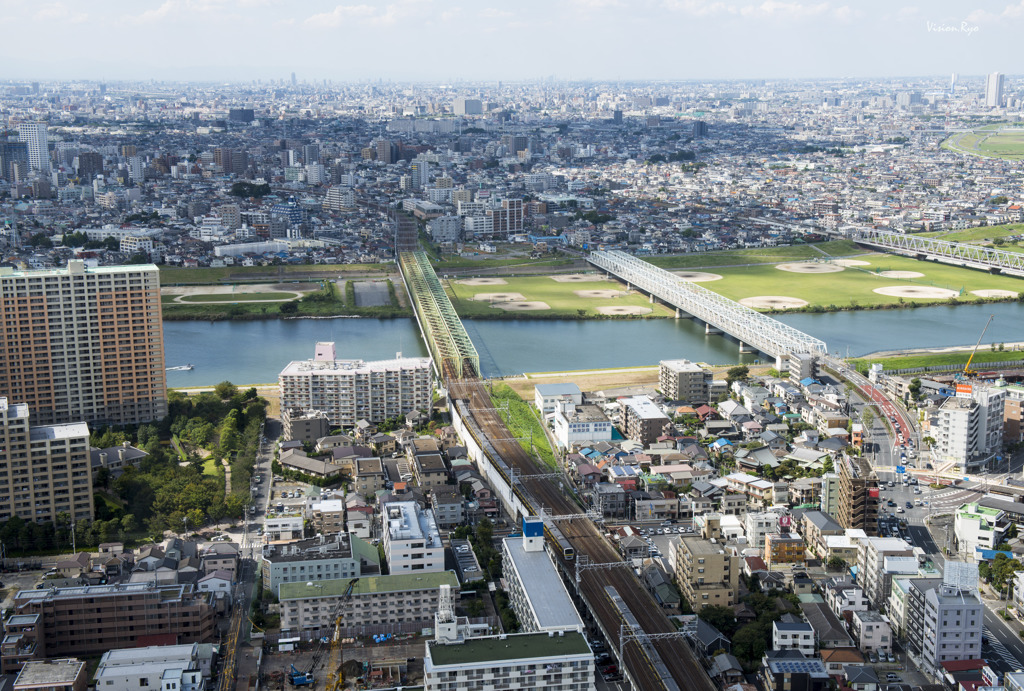 江戸川
