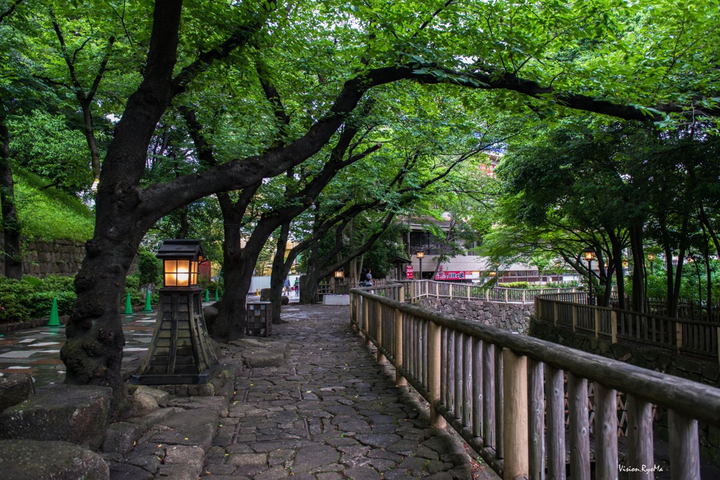 夏の色