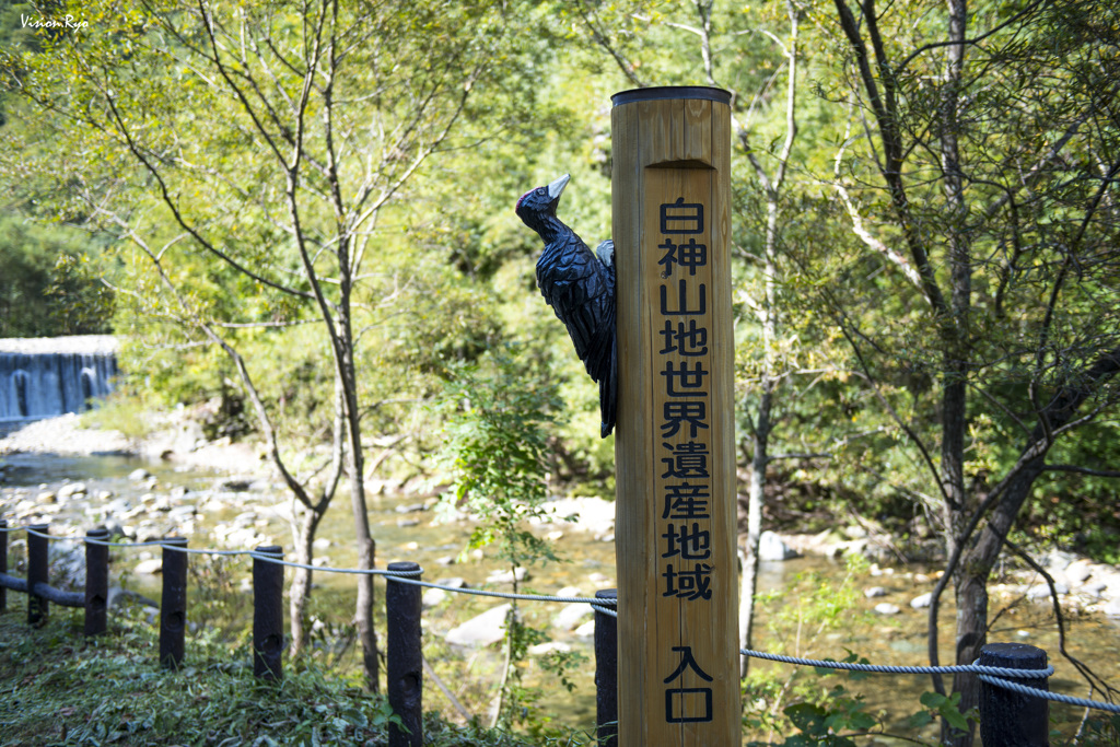 入口