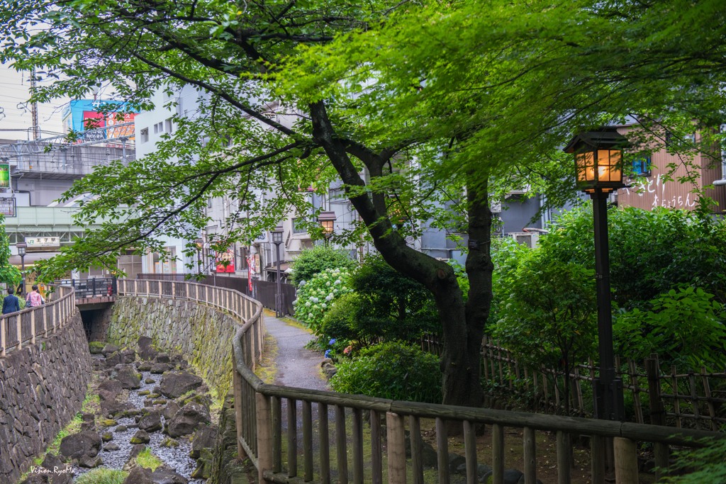 夏の色