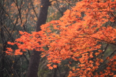 村松公園