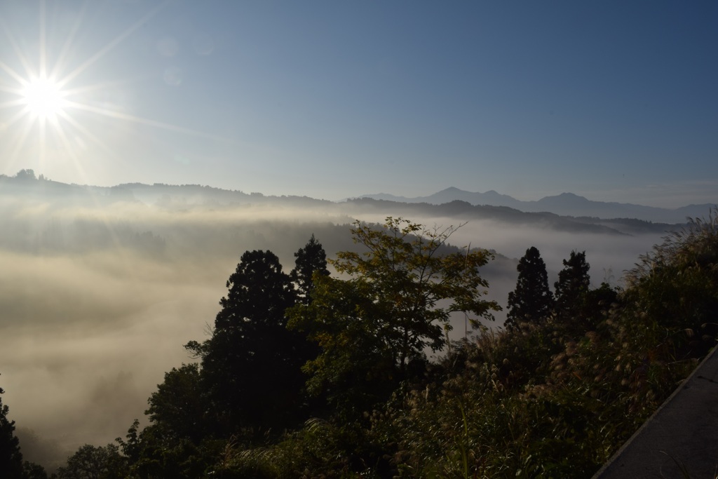 山古志　県道23号線から