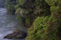 阿賀野川河畔