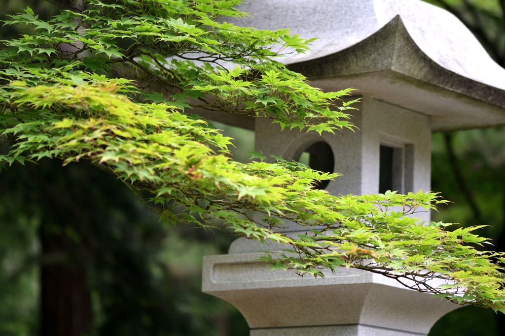 国上寺