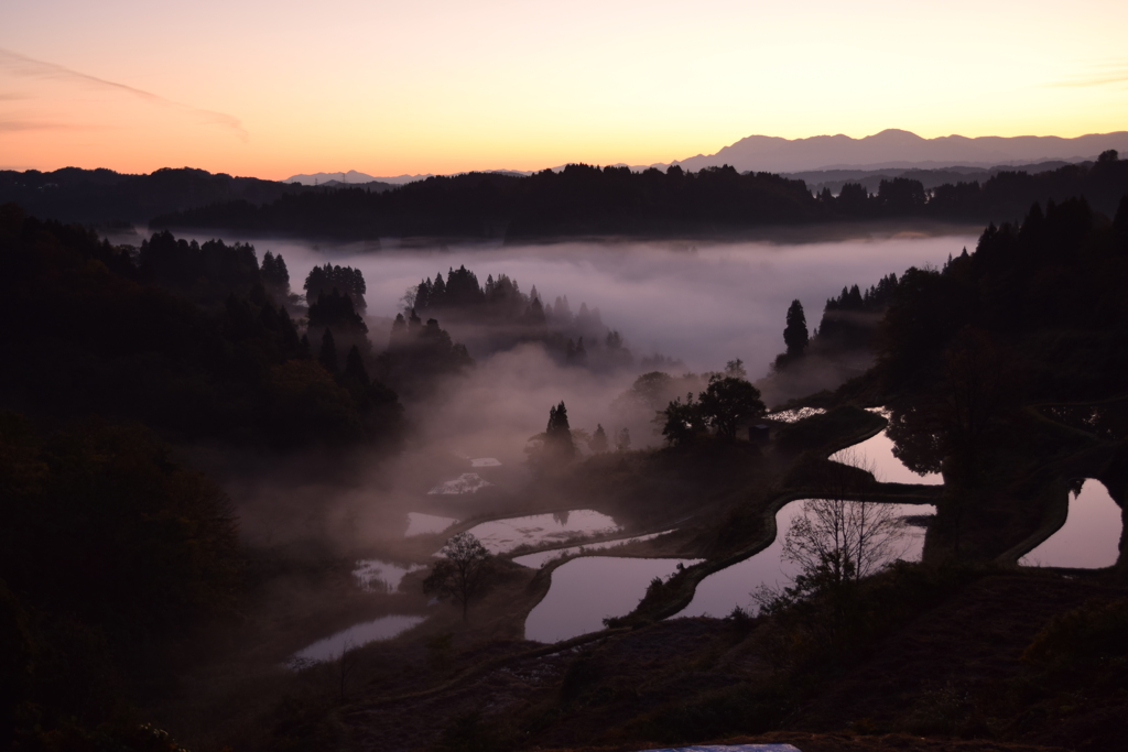 松之山　蒲生