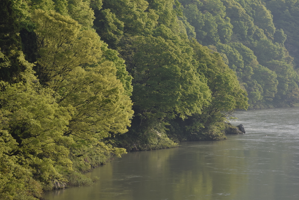阿賀野川　河畔