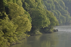 阿賀野川　河畔