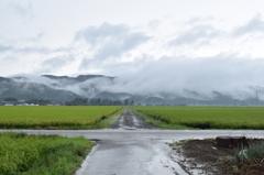 霧立つ山