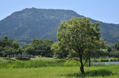 上堰潟公園からの角田山