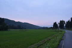 新潟　下田方面
