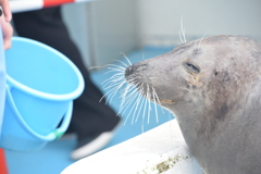 (´∀｀*)ｳﾌﾌ