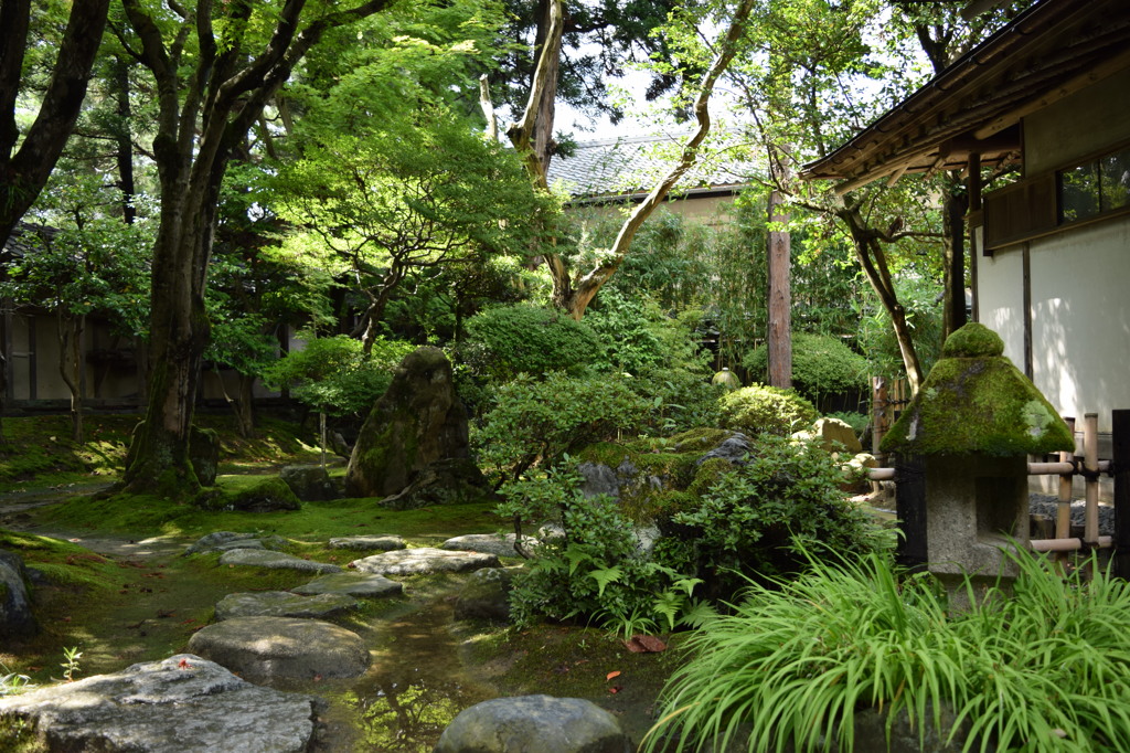 北方文化博物館　茶室の庭