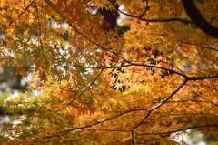 村松公園
