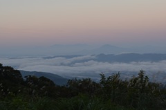 山古志　金倉山