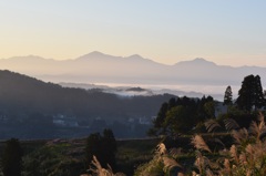 山古志　金倉山の林道