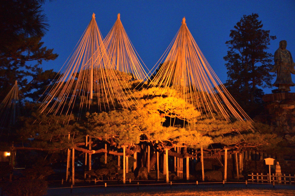 兼六園　ライトアップ