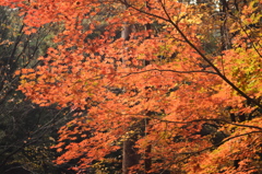村松公園