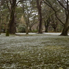 兼六園